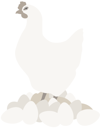 Illustration föreställande en industrihöna