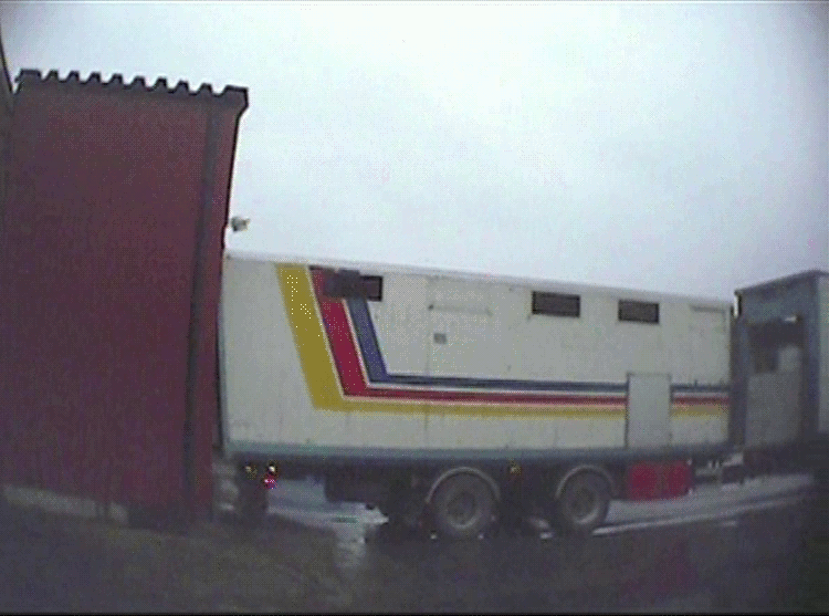 En transportbil dockar mot slakteriet och grisar lastas av
